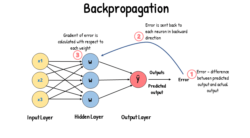 Network diagram showing error gradients flowing backward through layers