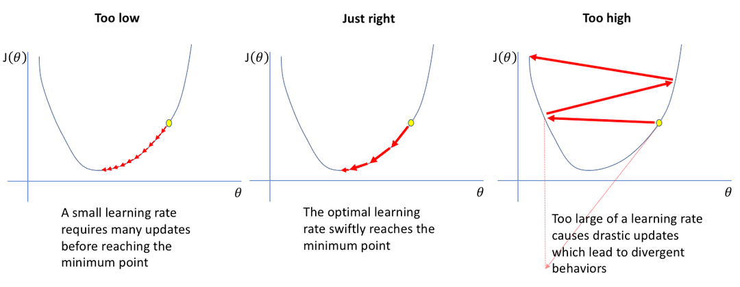 Line plots showing loss curves for different learning rates over training steps