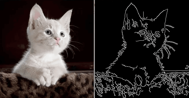 Original cat photo and its edge-detected version