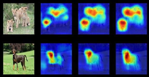 Bar chart showing relative importance scores for different input features in a model prediction